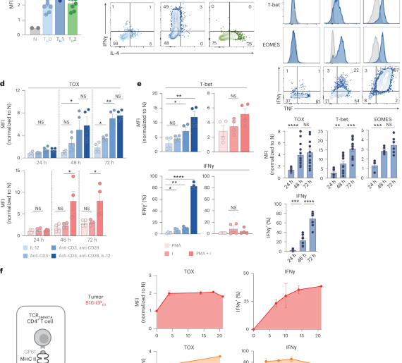 TOX drives CD4+ TH1 effector function, antitumor immunity and autoimmune pathology
