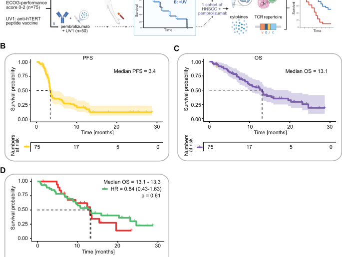 Inflammation and limited adaptive immunity predict worse outcomes on immunotherapy in head and neck cancer