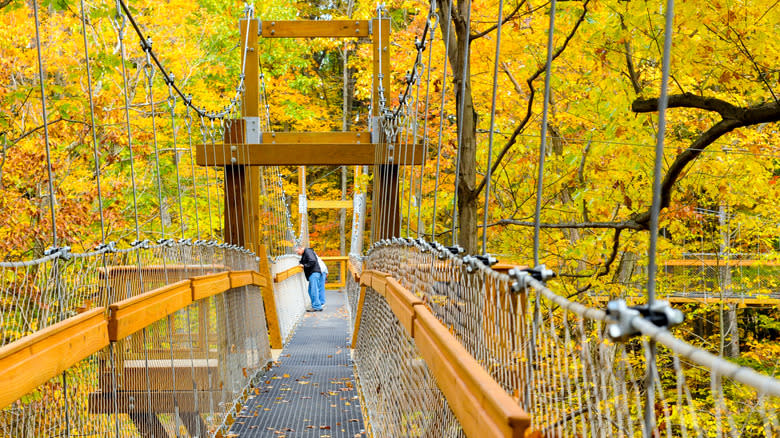 Suspended canopy boardwalk at the Holden Arboretum near Chardon, Ohio
