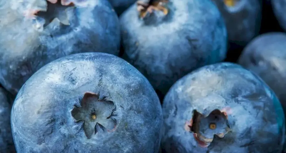 Surpassing Blueberries... 11 Foods Rich in Antioxidants