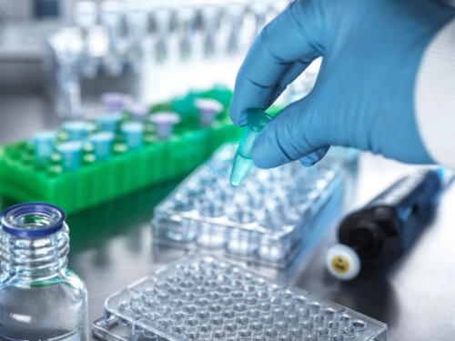 Distinct Immune Marker Found in Resistant Myasthenia Gravis