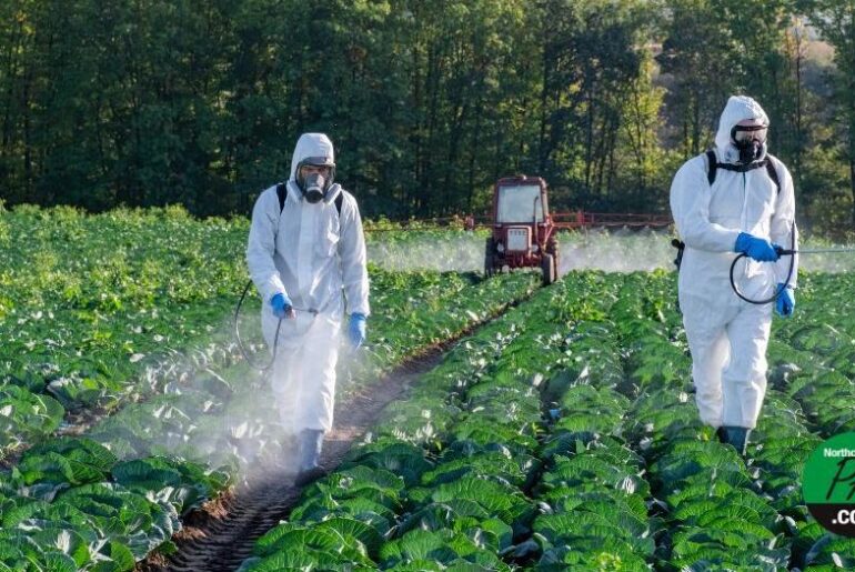 Chemical industry immunity measure dropped from EPA spending bill