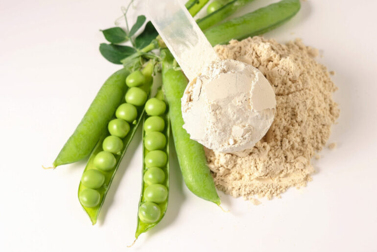 Pea Protein Market: Infant & Clinical Nutrition Applications & Growth Outlook