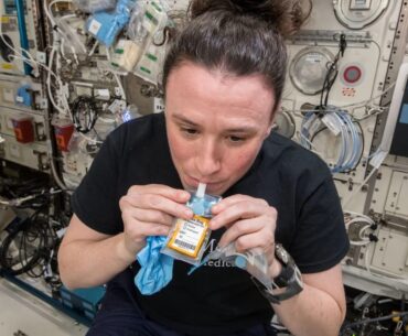 Scientists Probe How Long-Term Spaceflight Alters Immunity