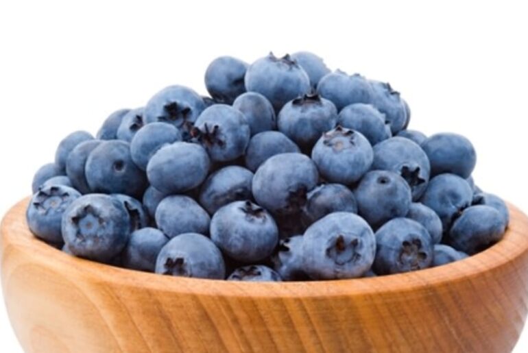 The Jerusalem Post - Israel News