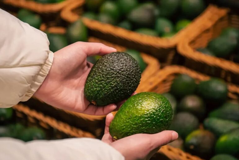 The Jerusalem Post - Israel News