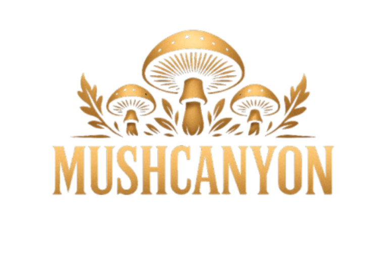 Buying Guide- Best Mushroom Supplement In 2026 lineup Mushcanyon