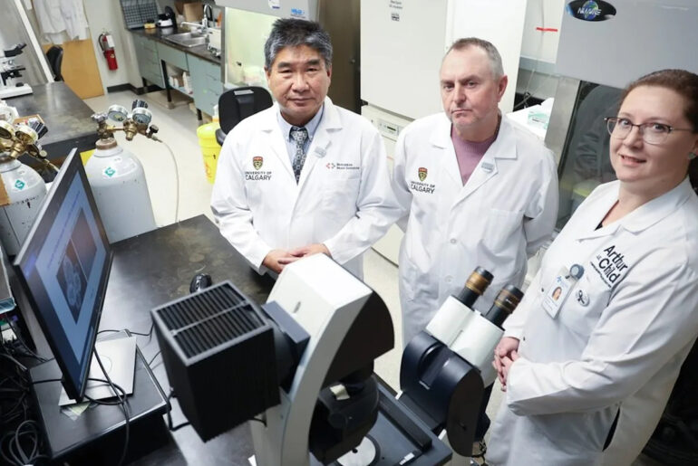 Vitamin B3 shows promise in halting brain cancer's return: U of C researchers