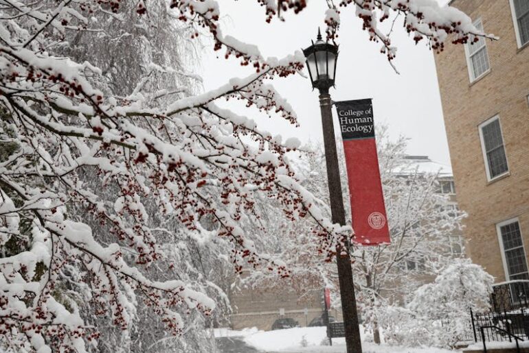 Mehta Research Group Seeks to Improve Global Nutrition With Precision Nutrition Technology