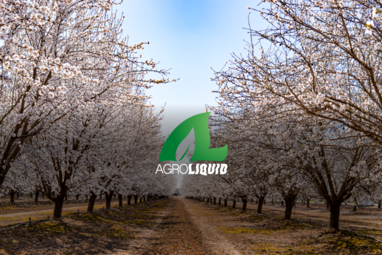 Choosing the Right Nutrition Strategy