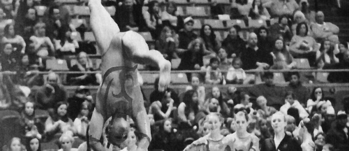 Beauty and the Beast – The Arbiter