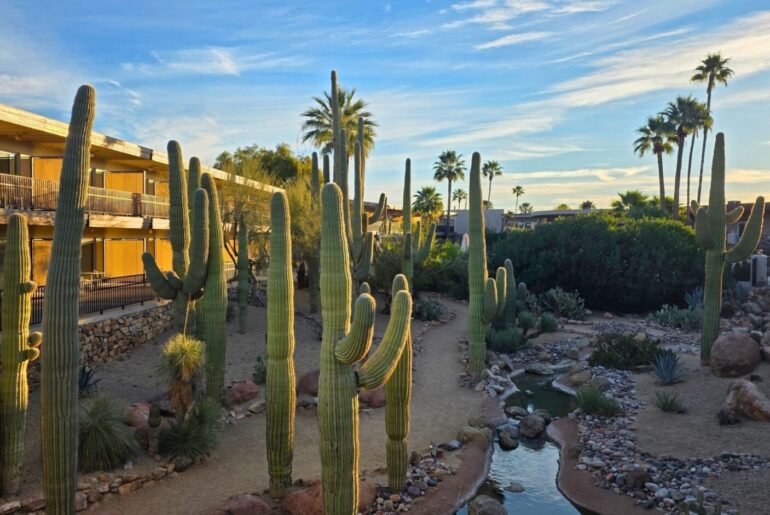 Desert Bathing Is The Wellness Trend Of 2026 — And CIVANA Is The Place To Experience It