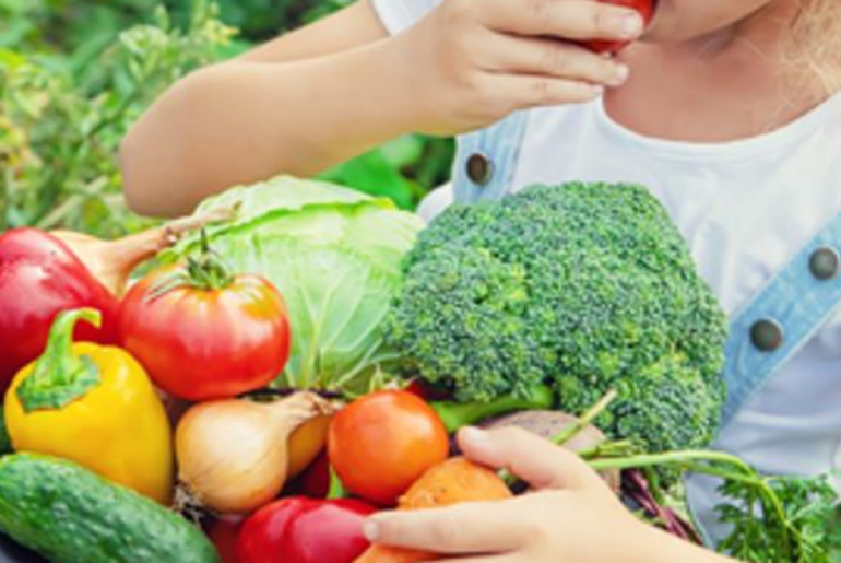 CSA Voucher Program offered by UK HR Health and Wellness