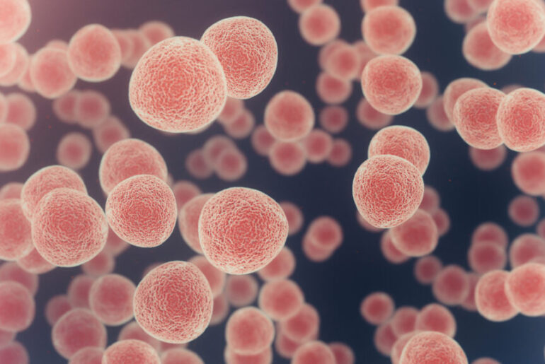 Targeting STING Pathway Triggers Cytotoxic and Immune Responses Against Meningioma