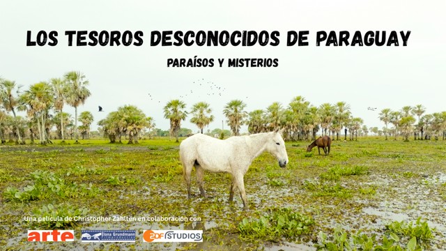 Documentary of Christopher Zahlten for Arte TV.