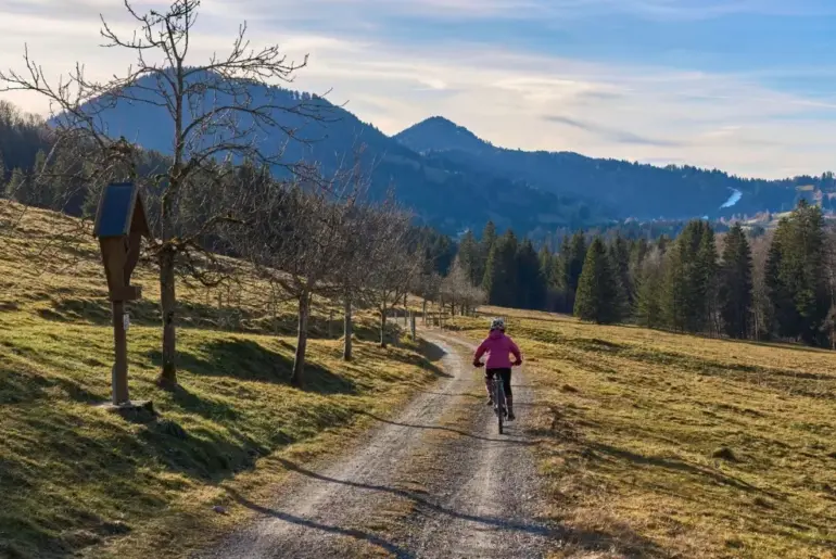 Cyclist Immunity: What Matters More for Illness Risk, Intensity or Volume?