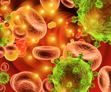 Virus in bloodstream