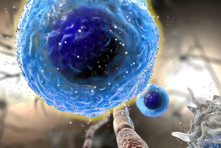 Repeated Cytokine Signaling Required to Sustain Macrophage Immune Memory