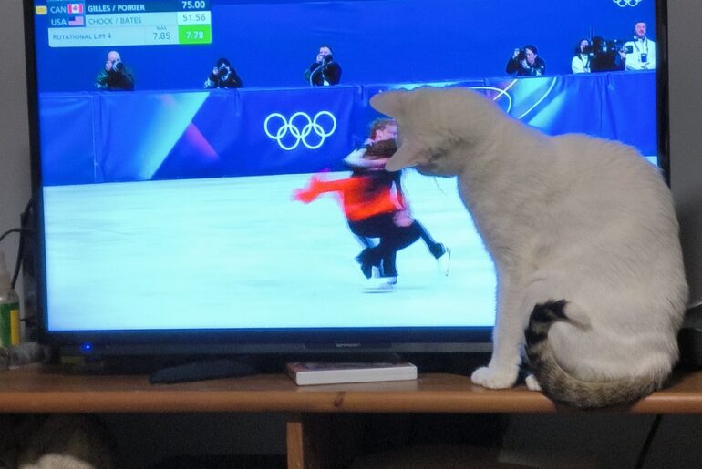 The Beauty of the Winter Olympics vs the utter cynical disgrace that is Putin