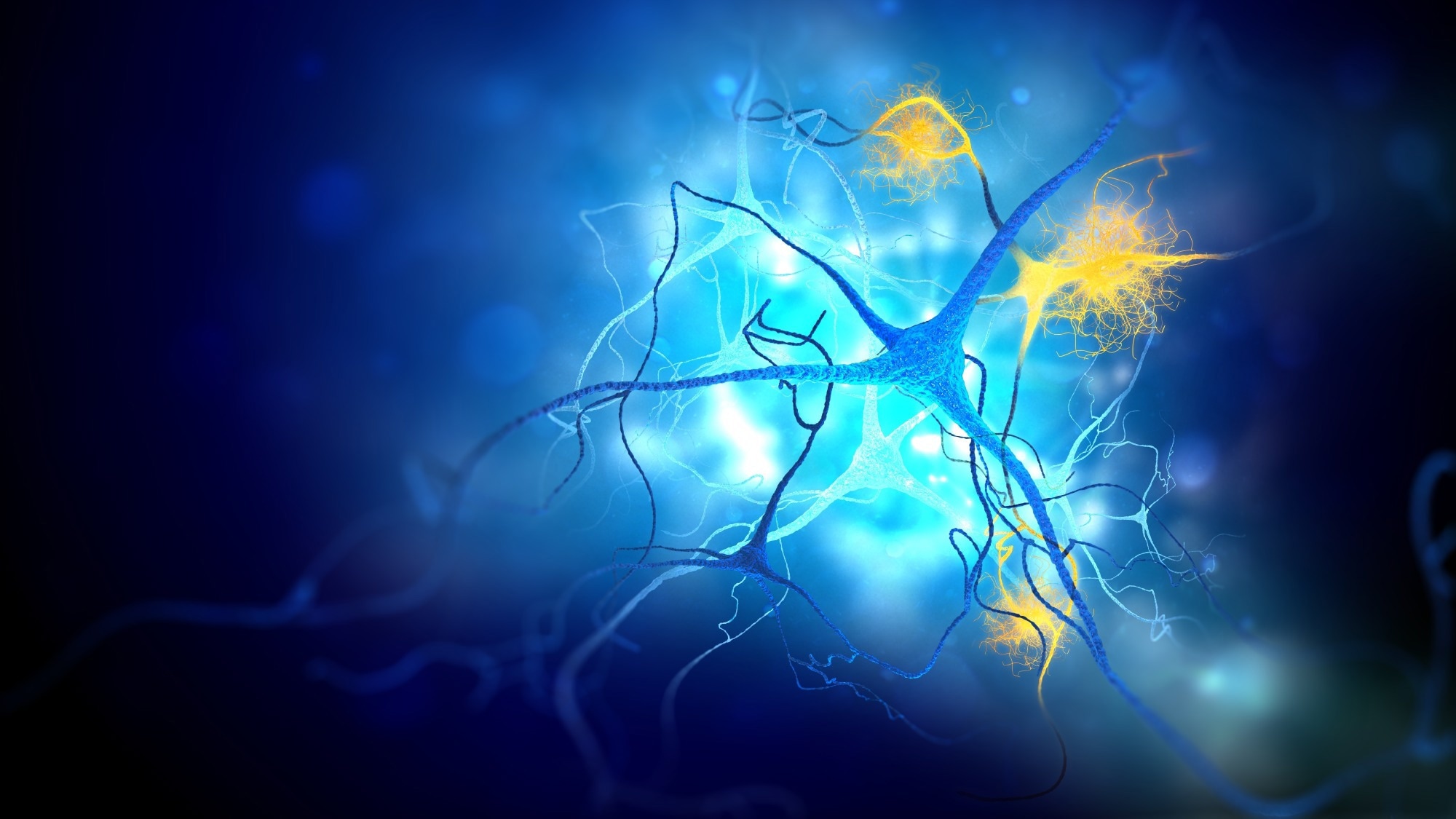 Study: Engineering chimeric antigen receptor CD4 T cells for Alzheimer’s disease. Image Credit: Andrii Vodolazhskyi / Shutterstock