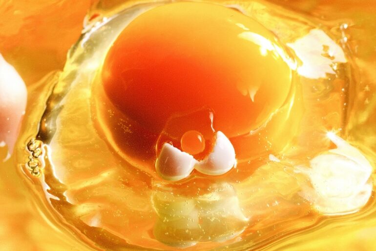 The truth about egg yolks and cholesterol