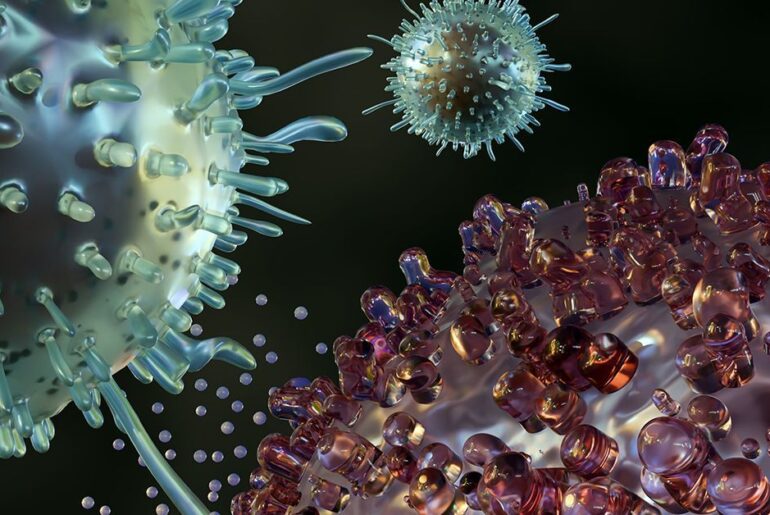 Fatty Acids Found to Influence Immune Defense During Chronic Infections