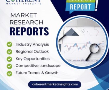 Vitamin B Complex Ingredients Market