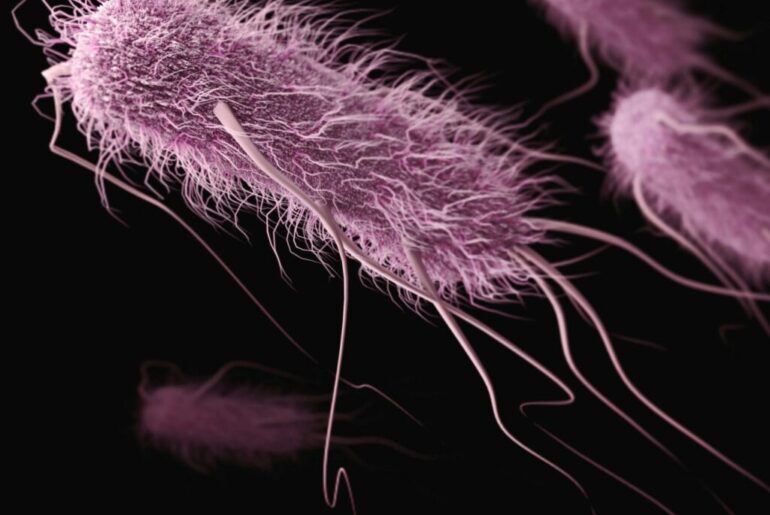 Study: Novel Listeria Monocytogenes Vaccine Provides Protective Immunity in Murine Models of Colorectal Cancer