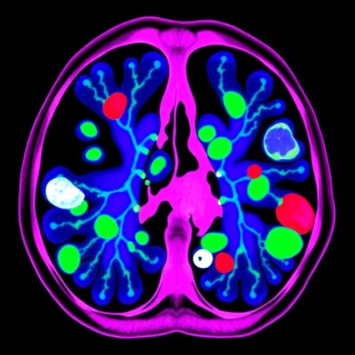 Multiplexed Imaging Uncovers Immune Metabolism in NSCLC