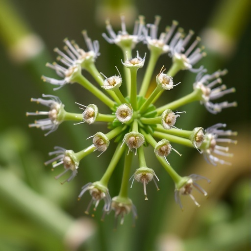 New Targets Identified in Plant Immunity via BIK1 Mapping