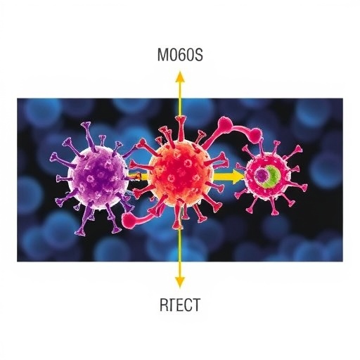 Nucleotide Signals Regulate Bacterial Immune Response