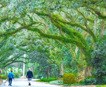 5 Impressively Scenic Small Towns in Alabama