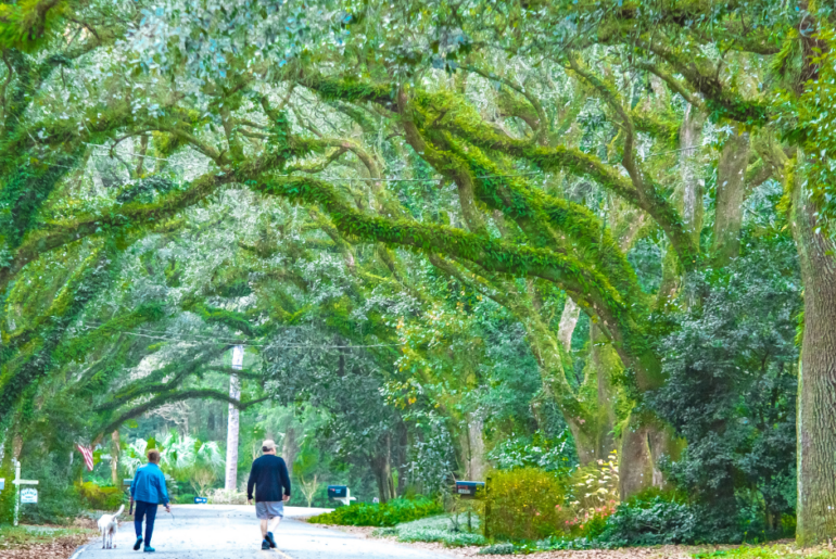 5 Impressively Scenic Small Towns in Alabama