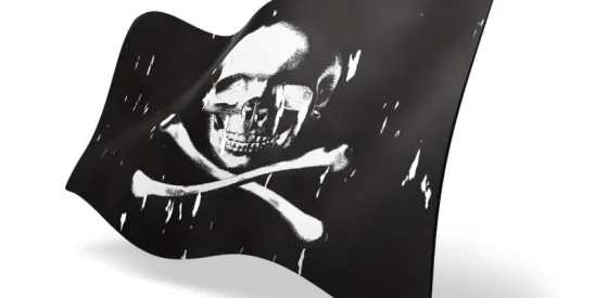 Blackbeard, Allen v. Stein Case No. 24-1954, Blackbeard’s Queen Anne’s Revenge shipwreck, copywrite infringement, photos, Frederick Allen and Nautilus Productions