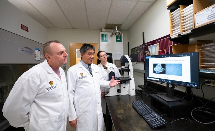 Researchers show study participant effects of niacin treatment on cancerous cells animal models