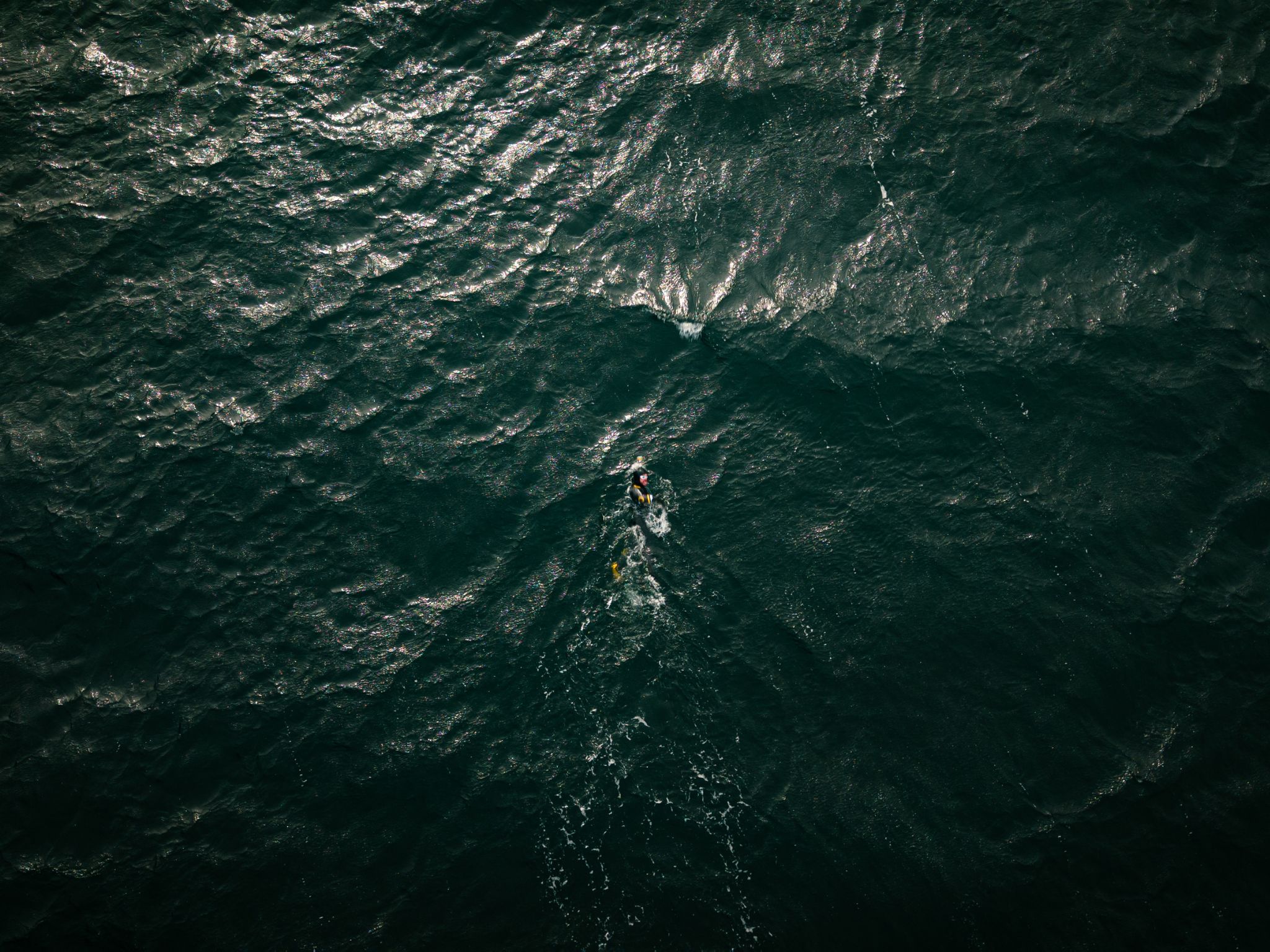 Ross Edgley plans to swim more than 30km per day as he makes his way around the Icelandic coastline