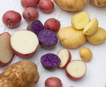 A variety of potatoes are displayed in Concord, N.H.