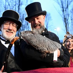 How long do groundhogs live? Discover the suprising lifespan of these creatures