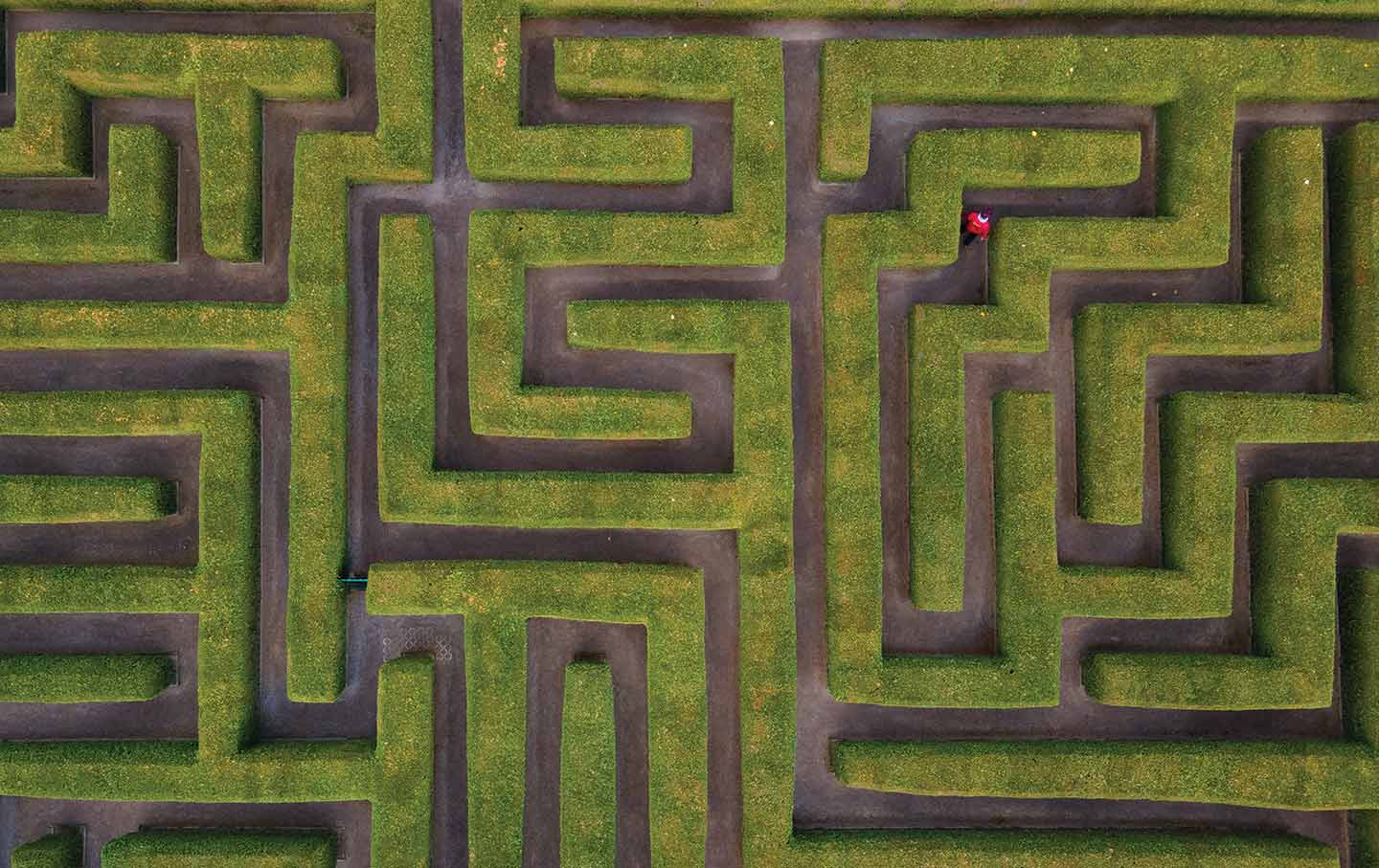 How Capitalism Transformed the Natural World