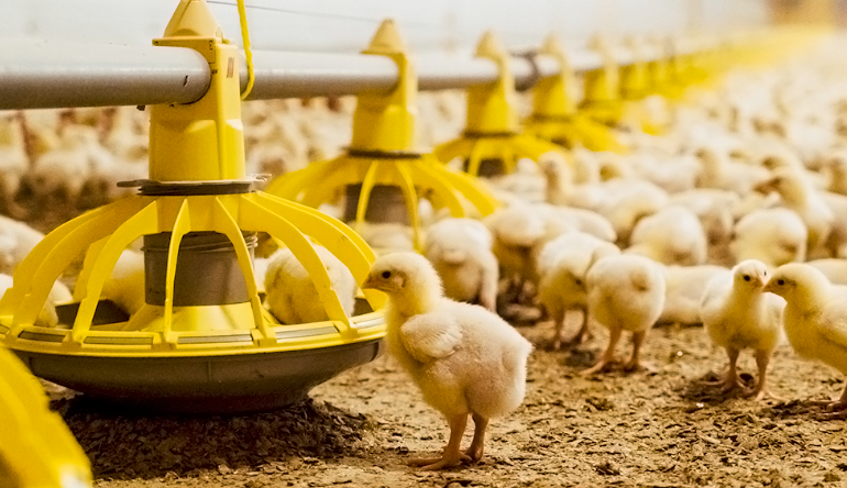 EW Nutrition and GRASP strengthen strategic partnership