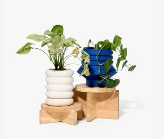 Plant Pedestals by Pete Oyler