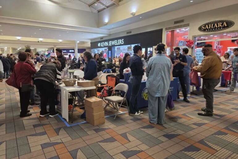 Senior Wellness and Health Fair Gathers Some 48 Agencies