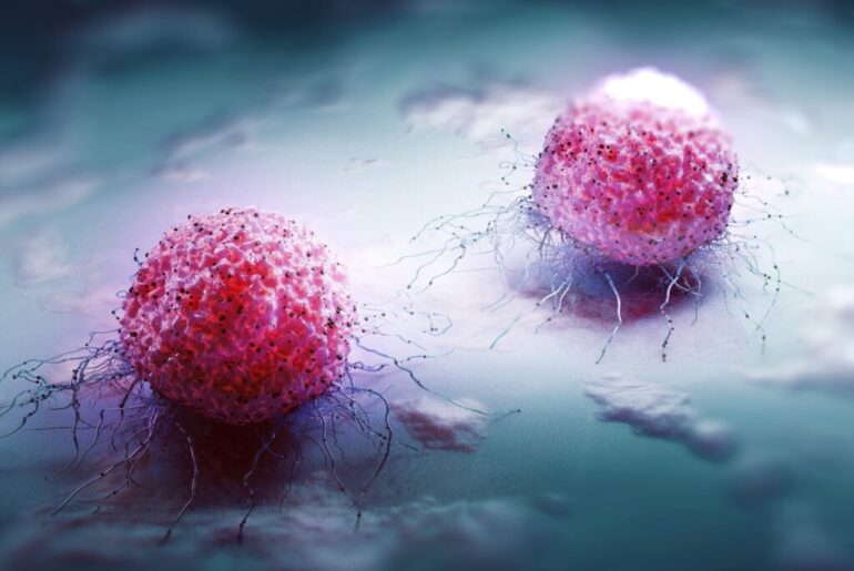 Scientists turn tumor immune cells into cancer killers