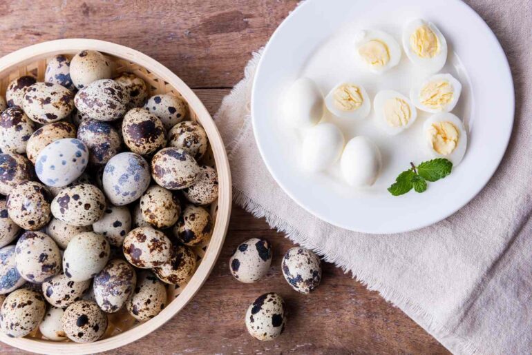 What Happens to Your Cholesterol When You Eat Quail Eggs Regularly