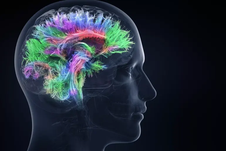 Serum levels of fat-soluble vitamins in children with attention deficit hyperactivity disorder and relationship with symptom subtypes