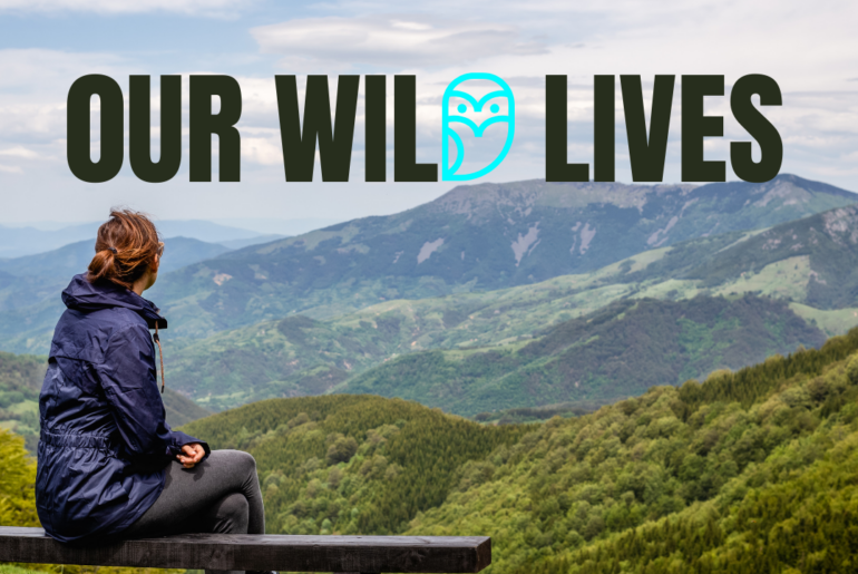 A woman sits on a bench and looks out over a vast landscape. Text reads "Our Wild Lives."
