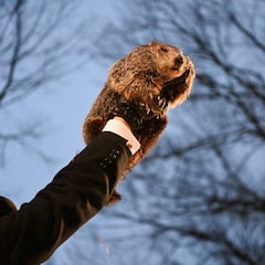 Did the groundhog see his shadow? This is Punxsutawney Phil’s prediction for 2026
