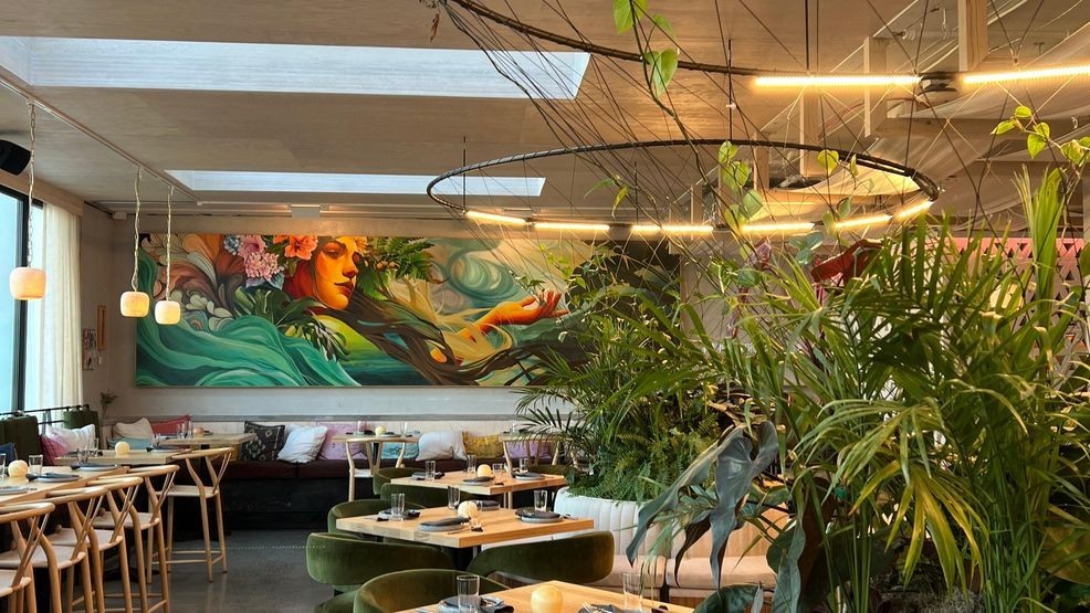 (Image: Kate Neidigh)