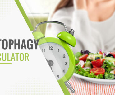 Autophagy Calculator