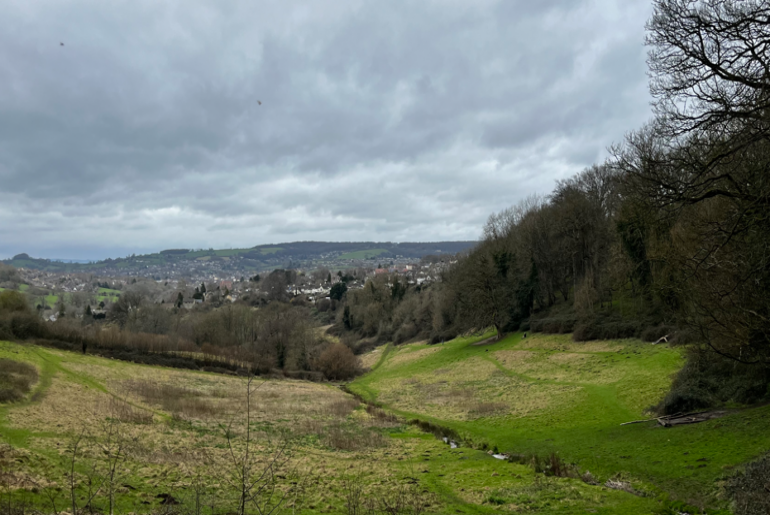 Views needed on beloved beauty spot's future